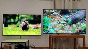 Samsung QLED vs Sony Bravia 2025