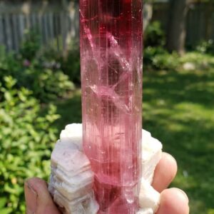 Natural Pink Tourmaline Crystal